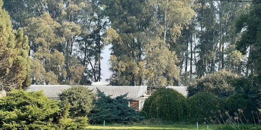 Campo en Venta en Bragado con 660 ha - imagen 7