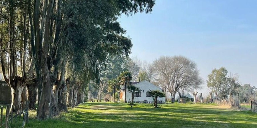 Campo en Venta en Bragado con 660 ha - imagen 9