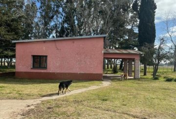Campo en Venta Ubicado A 24km De Mar De Ajó Y San Bernardo Desde La Ruta 38, Mar de Ajo - Imagen 6