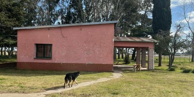 Campo en Venta en Mar de Ajo con Mixto y 680 ha - imagen 6