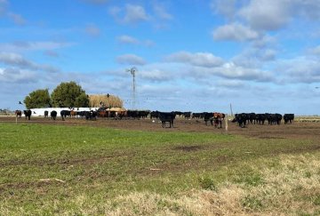 Campo en Venta Ubicado A 24km De Mar De Ajó Y San Bernardo Desde La Ruta 38, Mar de Ajo - Imagen 7