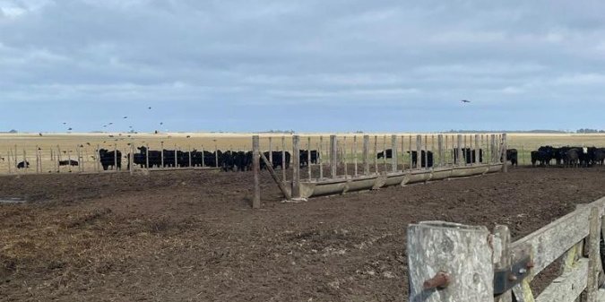 Campo en Venta en Mar de Ajo con Mixto y 680 ha - imagen 3