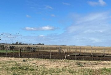 Campo en Venta en Mar de Ajo con 680 ha - Imagen 2