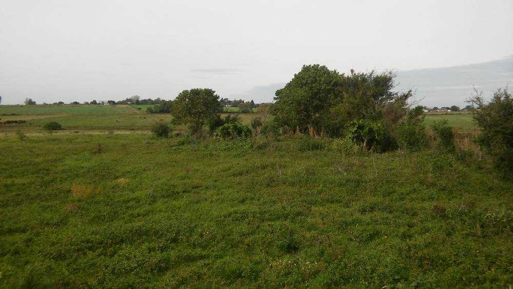 Terreno en Venta en Diamante con · frente 168,5 m · largo 238,5 m · 40 m² de lote · barrio privado - Imagen 4