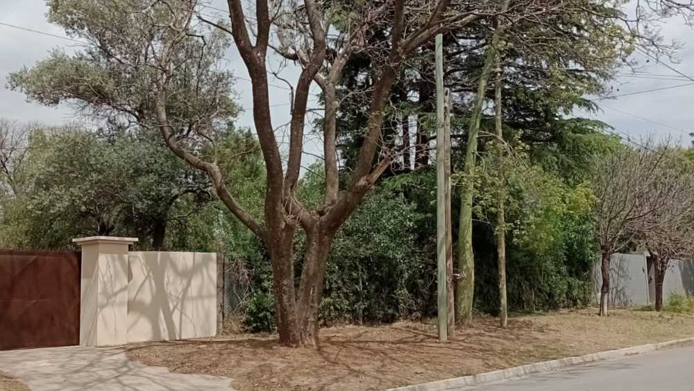 Terreno en Venta en Córdoba · frente 20 m · largo 40 m · 800 m² de lote · dueño directo - Imagen 1