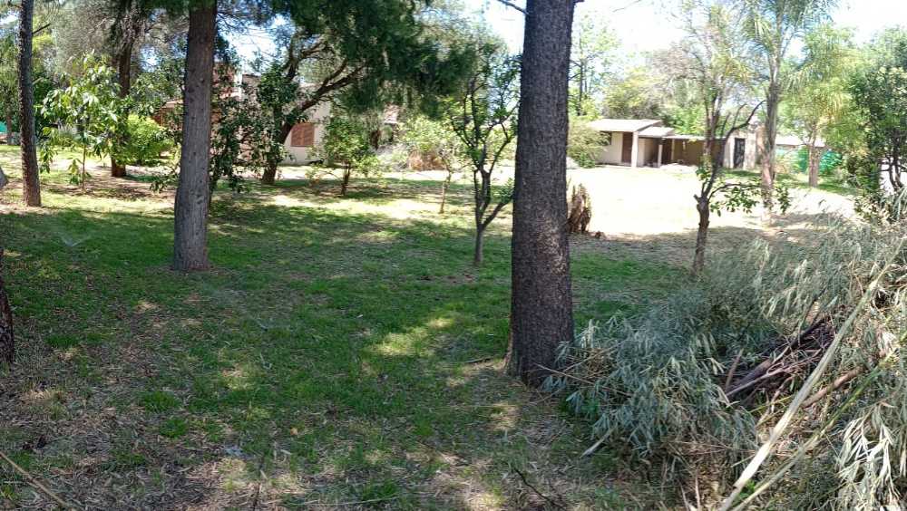 Terreno en Venta en Córdoba · frente 20 m · largo 40 m · 800 m² de lote · dueño directo - Imagen 2