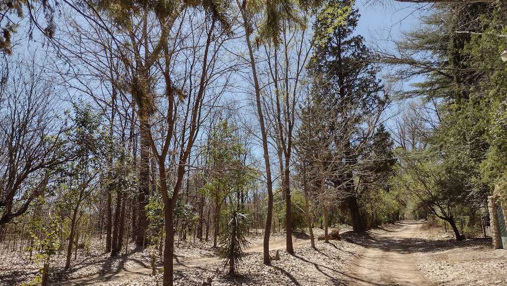 Vendo Terrenos con escritura en Barrio Tajamar, Traslasierra, Cordoba - Imagen 4