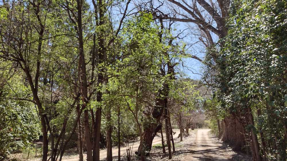 Vendo Terrenos Con Escritura En Barrio Tajamar, Traslasierra, Cordoba - Terreno en Venta en Nono con 1.000 m2 de terreno - imagen 8