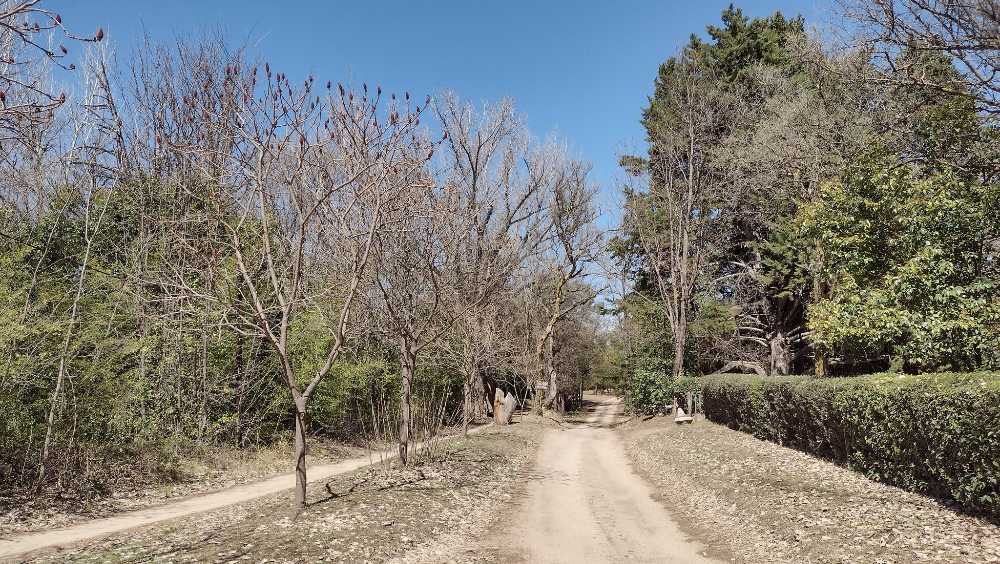 Vendo Terrenos Con Escritura En Barrio Tajamar, Traslasierra, Cordoba - Terreno en Venta en Nono con 1.000 m2 de terreno - imagen 11