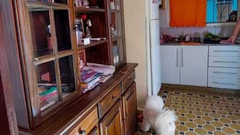Excelente Casa en Río Cuarto en Venta · dueño directo · 2 dorm · 6 ambientes - Imagen 2