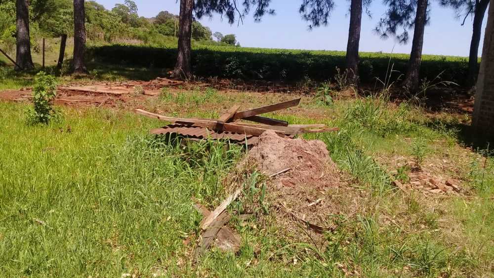 Comprar Campo en Puerto Rico · dueño directo · 50 ha - Imagen 1