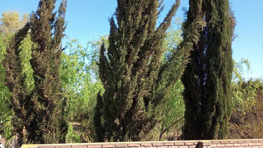 Casa Quinta En La Carlota ,los Cisnes,cordoba.dueo Directo - Casa en Venta en Río Cuarto con 3 dorm. y 1.400 m2 cubiertos - imagen 8