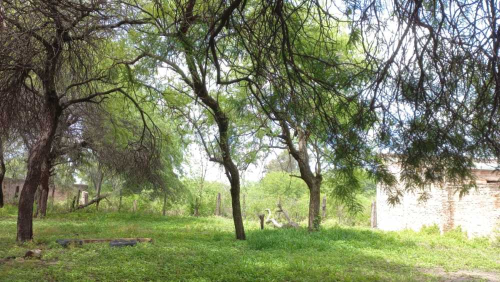 VENDO TERRENO CON CASA CONSTRUIDA, EXCELENTE UBICACION! - Imagen 2