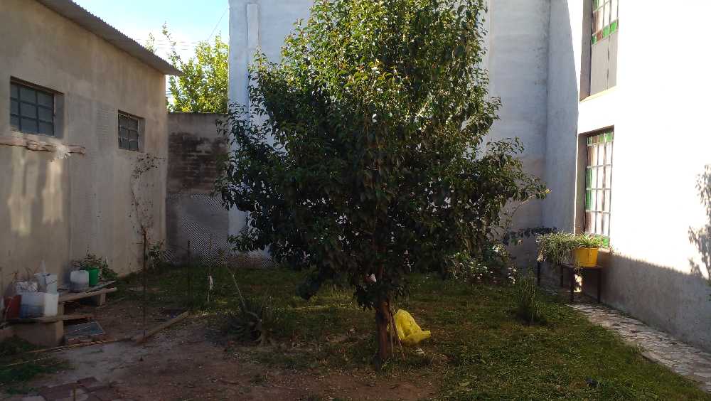 Galpón disponible en Córdoba · dueño directo · 5 cocheras · 330 m² de lote - Imagen 2