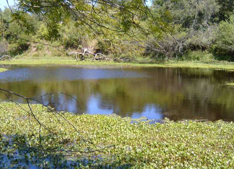 Ruta Nacional 95 Kilometro 1241 camino Rio Bermejito, Presidencia Roque Sáenz Peña