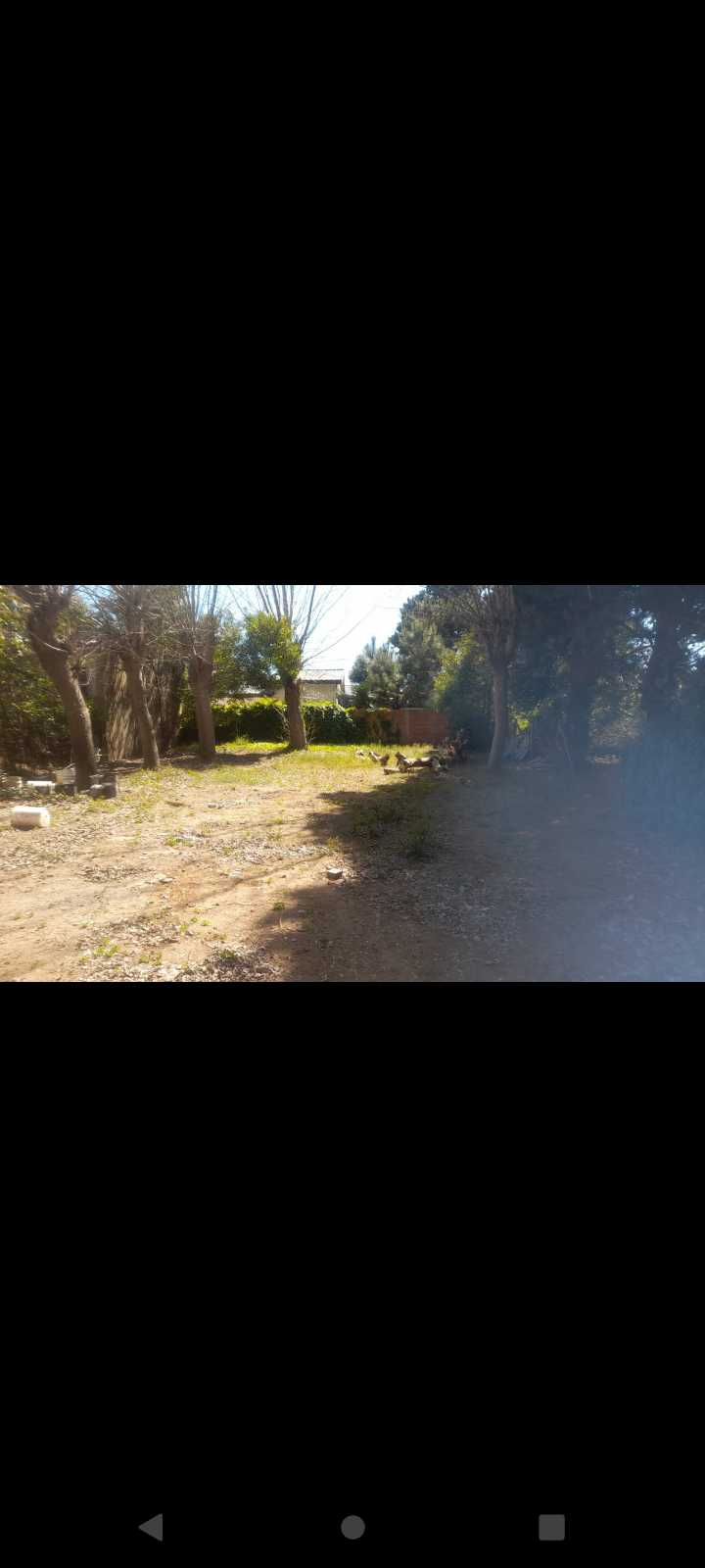 Casa en Venta en Mar del Tuyu con · dueño directo · 1 dorm · cochera · 500 m² de lote - Imagen 4