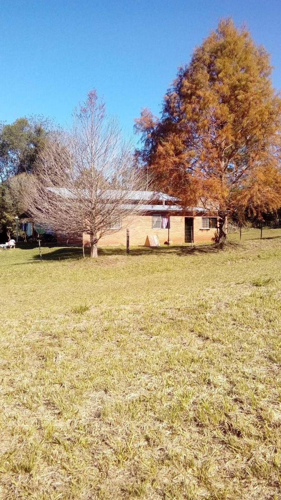 Hermosa Casa C/ 1 Hectarea Cerro Azul En R 14 - Casa en Venta en Obera con 2 dorm., 3 amb., 200 m2 cubiertos y 10.000 m2 totales - imagen 12