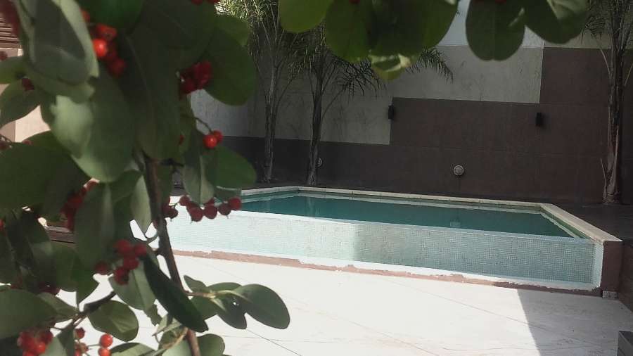 Dueño Directo Monoambiente APTO PROFESIONAL frente al Mercado de Pulgas Colegiales Alvarez Thomas y - Imagen 2