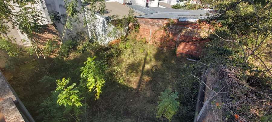 Vendo Casa De Dos Dormitorios En Colonia Guarani, Dpto Obera, Misiones - Casa en Venta en Obera con 2 dorm., 3 amb., 65 m2 cubiertos y 300 m2 totales - imagen 13