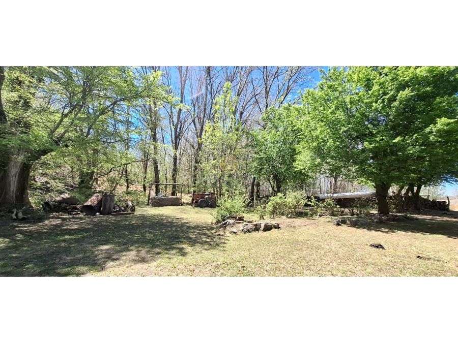 VENTA CAMPO SAN LUIS 281 HECTAREAS LA CAROLINA - Imagen 3