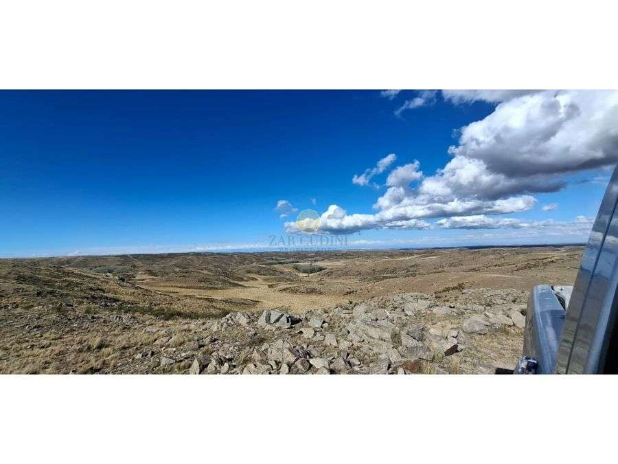 VENTA CAMPO SAN LUIS 281 HECTAREAS LA CAROLINA - Imagen 5