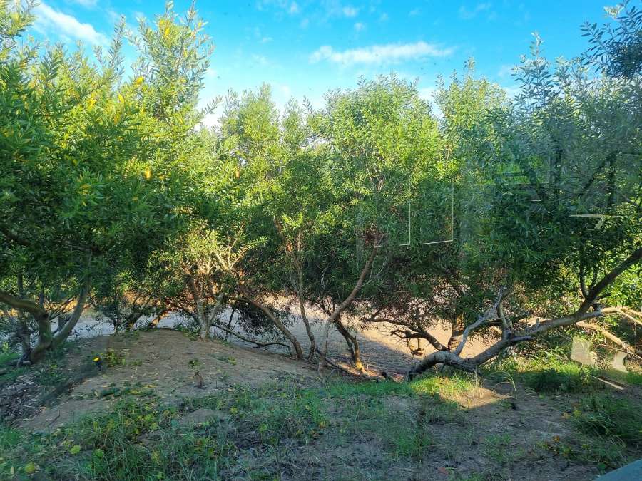 Casa En Venta De 5 Ambientes En 2 Plantas - Casa en Venta en San Bernardo con 4 dorm., 5 amb., 168 m2 cubiertos y 1.000 m2 totales - imagen 11