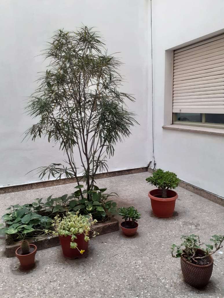 Venta De Departamento De Dos Dormitorios Con Dependencias En Planta Baja - Departamento en Venta en La Plata con 3 dorm., 3 amb. y 90 m2 cubiertos - imagen 12