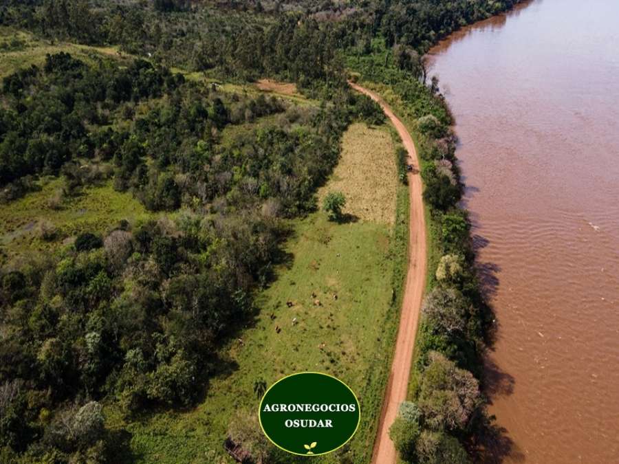 51 Hectáreas - San Javier Misiones - Imagen 1