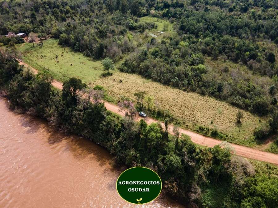 Campo en Venta Apostoles, Apostoles - Imagen 2