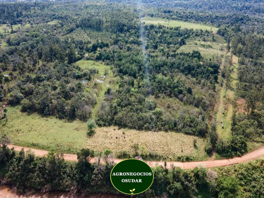 Campo en Venta Apostoles, Apostoles - Imagen 4