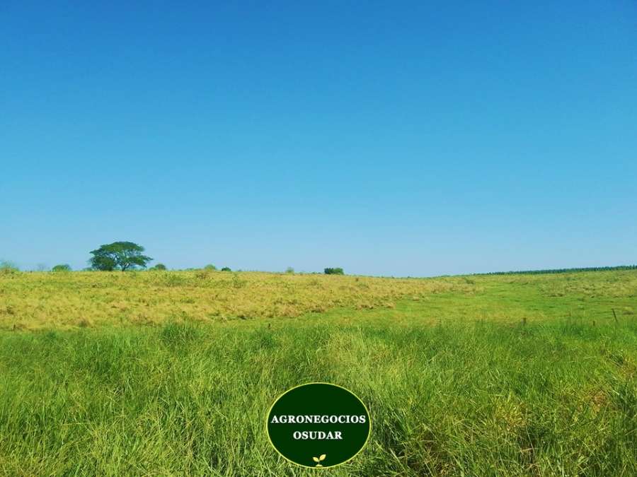 Campo en Venta Corrientes, Corrientes - Imagen 4