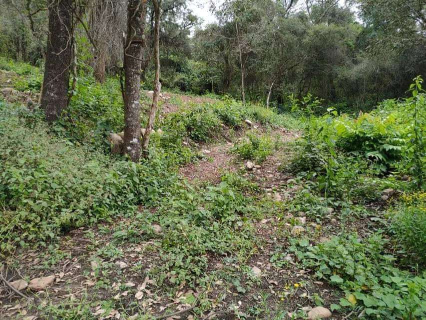 terreno vertientes eco pueblo barrio privado - Imagen 4