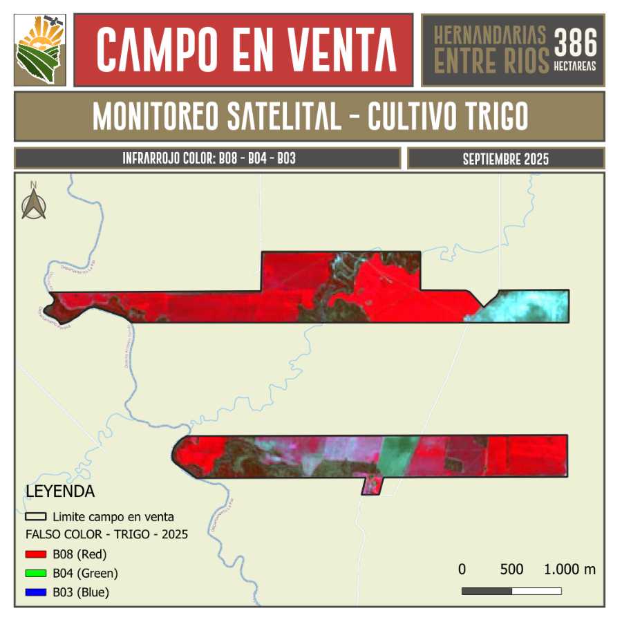 Campo en venta en Villa Hernandarias, Entre Ríos, 386 ha mixto - Imagen 5