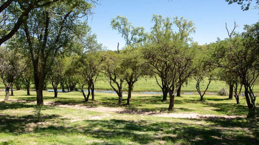 Terreno en venta en La Florida, San Luis, 678 m² en barrio privado - Imagen 4