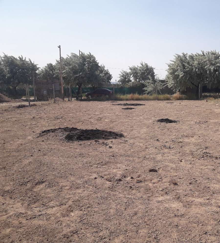 Terreno en Venta en Lujan de Cuyo con · frente 10 m · largo 45 m · 450 m² de lote · dueño directo - Imagen 1