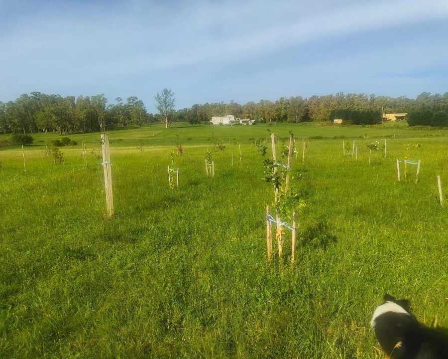 Ruta 9, km 137, B2942 Baradero, Provincia de Buenos Aires, Baradero
