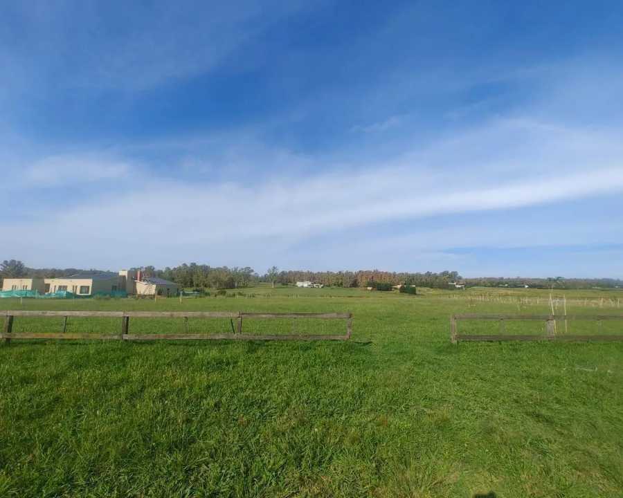 Terreno en Baradero para en Venta · frente 100 m · largo 160 m · 16 m² de lote · barrio con seguridad - Imagen 2