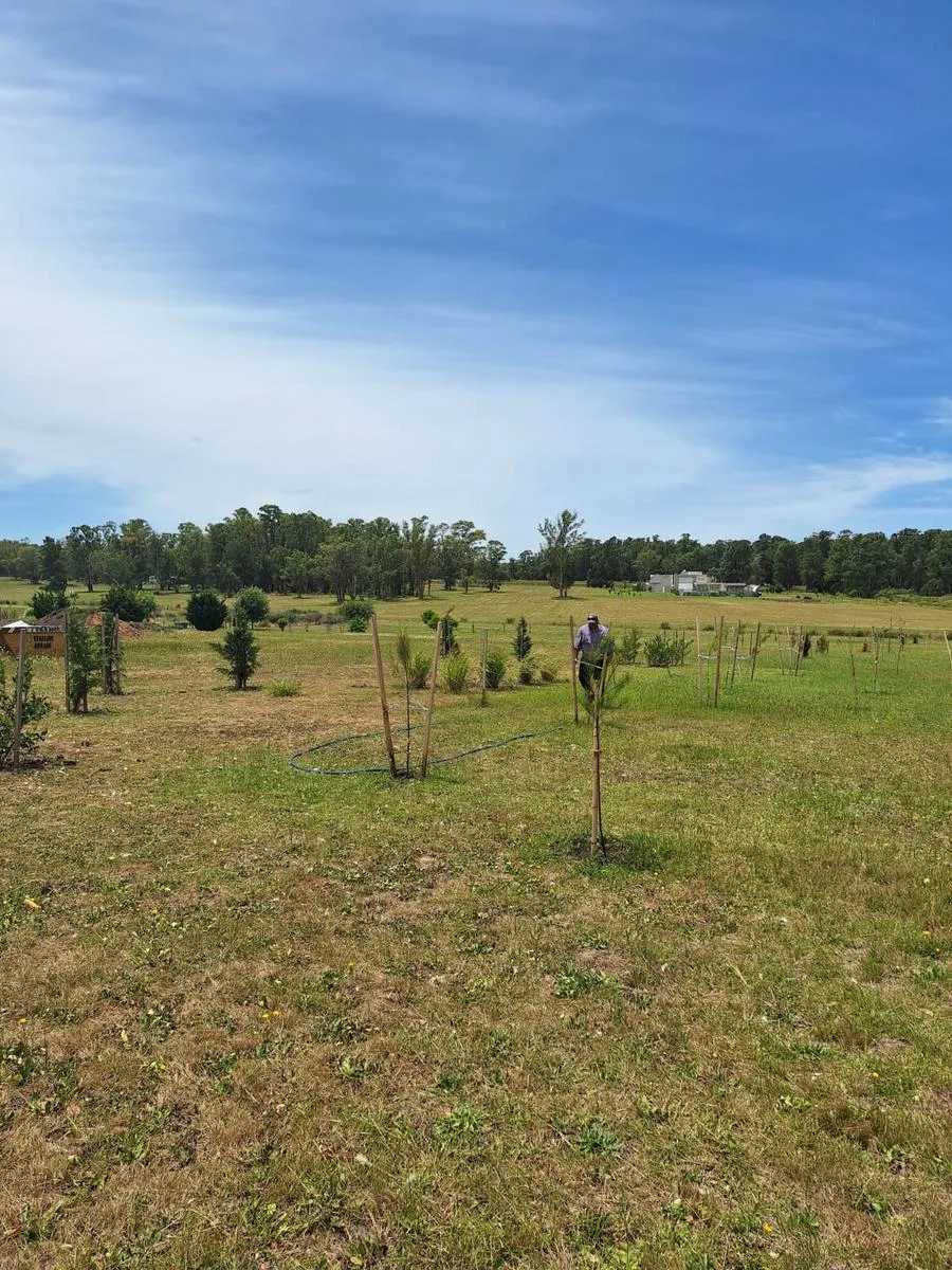 Terreno en Baradero para en Venta · frente 100 m · largo 160 m · 16 m² de lote · barrio con seguridad - Imagen 4