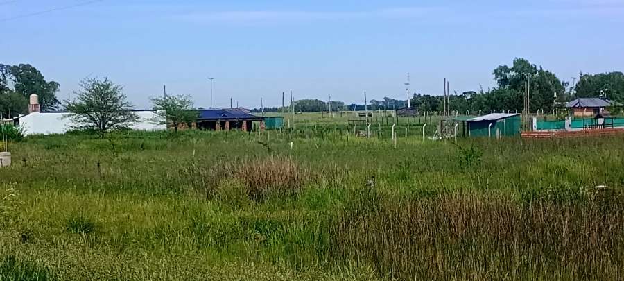 Terreno En Venta En Cauelas, Buenos Aires, 1.012 M A 100 Metros De La Ruta - Terreno en Venta en Canuelas con 1.012 m2 de terreno - imagen 4
