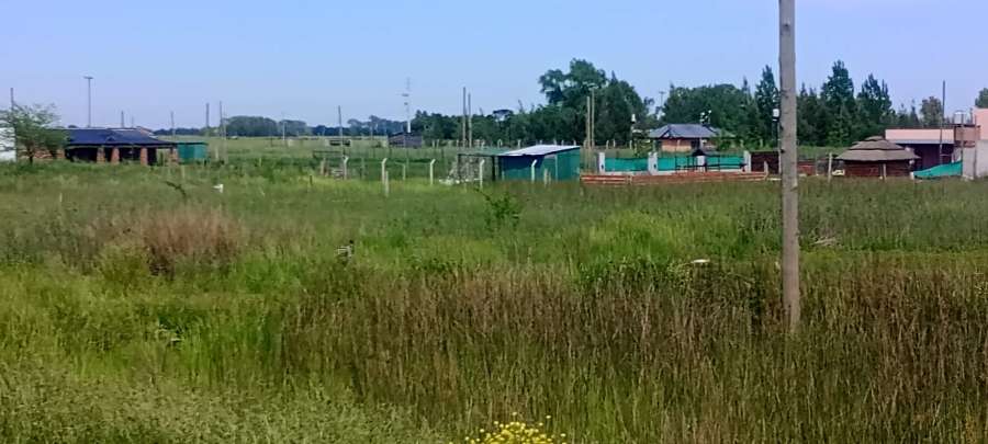 Terreno En Venta En Cauelas, Buenos Aires, 1.012 M A 100 Metros De La Ruta - Terreno en Venta en Canuelas con 1.012 m2 de terreno - imagen 5