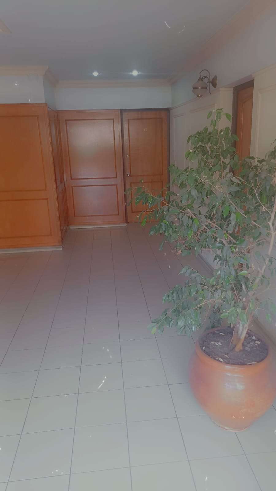 Departamento En Alquiler En San Martn, Mendoza, 3 Ambientes Y 2 Baos - Departamento en Alquiler en Mendoza con 3 dorm. y 3 amb. - imagen 13