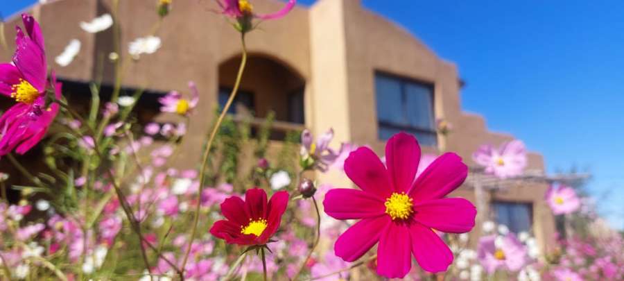 Casa en Los Reartes: en Venta · dueño directo · 4 o más dorm · 5 cocheras · 1 ha - Imagen 4
