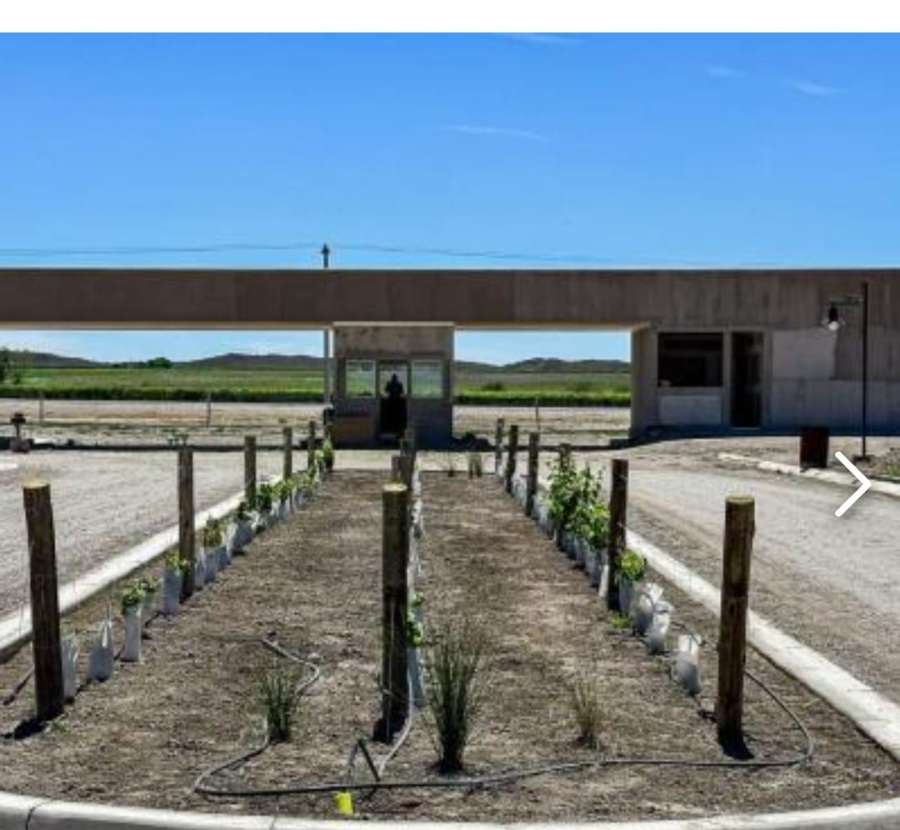 Terreno en venta en Tupungato, Mendoza, 1.000 m2 en barrio privado - Imagen 1