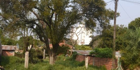 Terreno en Venta en Posadas con 41 m2 de terreno - imagen 6