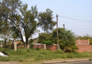 Terreno en Venta Calle Japon , Posadas - Imagen 5