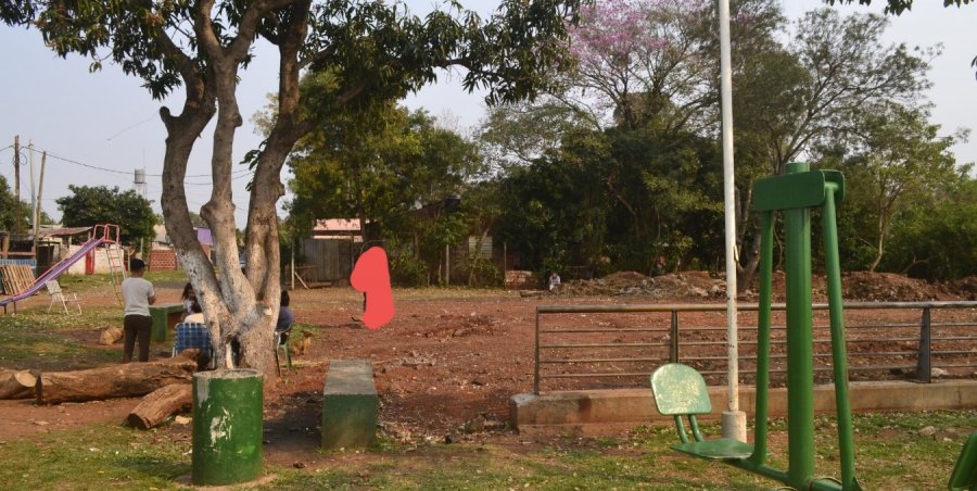 Terreno en Venta en Posadas con 325 m2 de terreno - imagen 8
