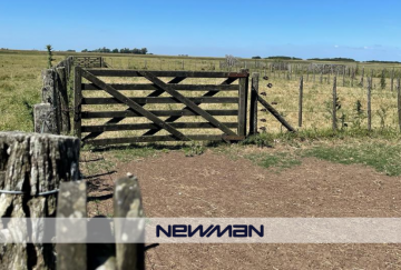 Campo en Venta A 9km De Estación Santo Domingo, Maipu - Imagen 9