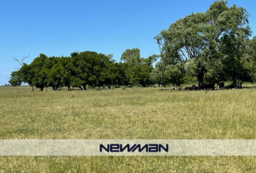Campo en Venta en Maipu con 1.063 ha - Imagen 5