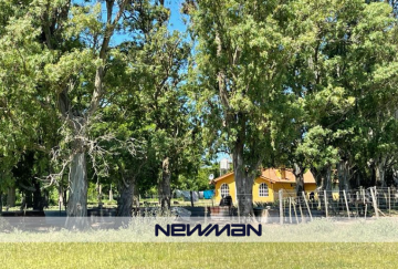 Campo en Venta en Maipu con 1.063 ha - Imagen 3