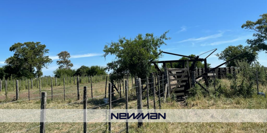 Campo en Venta en Maipu con Ganadero y 1.063 ha - imagen 1